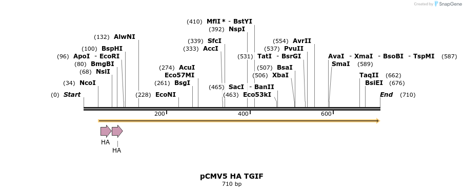 21502_map
