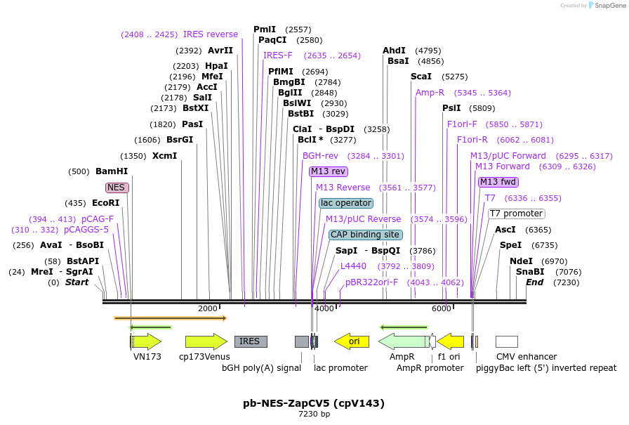 215031_map