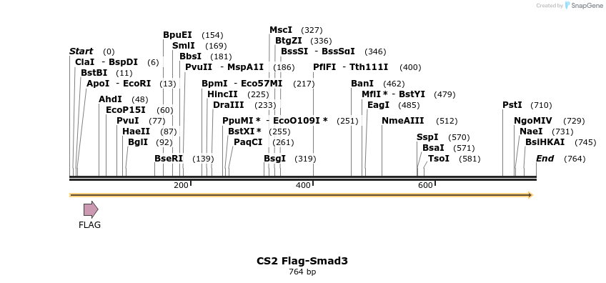 21506_map