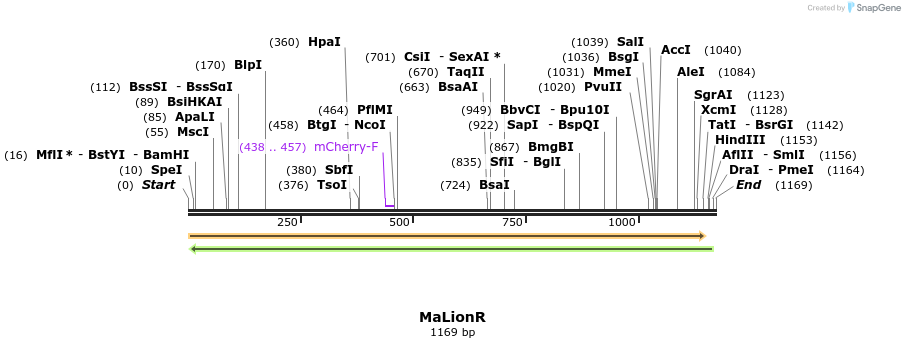215087_map