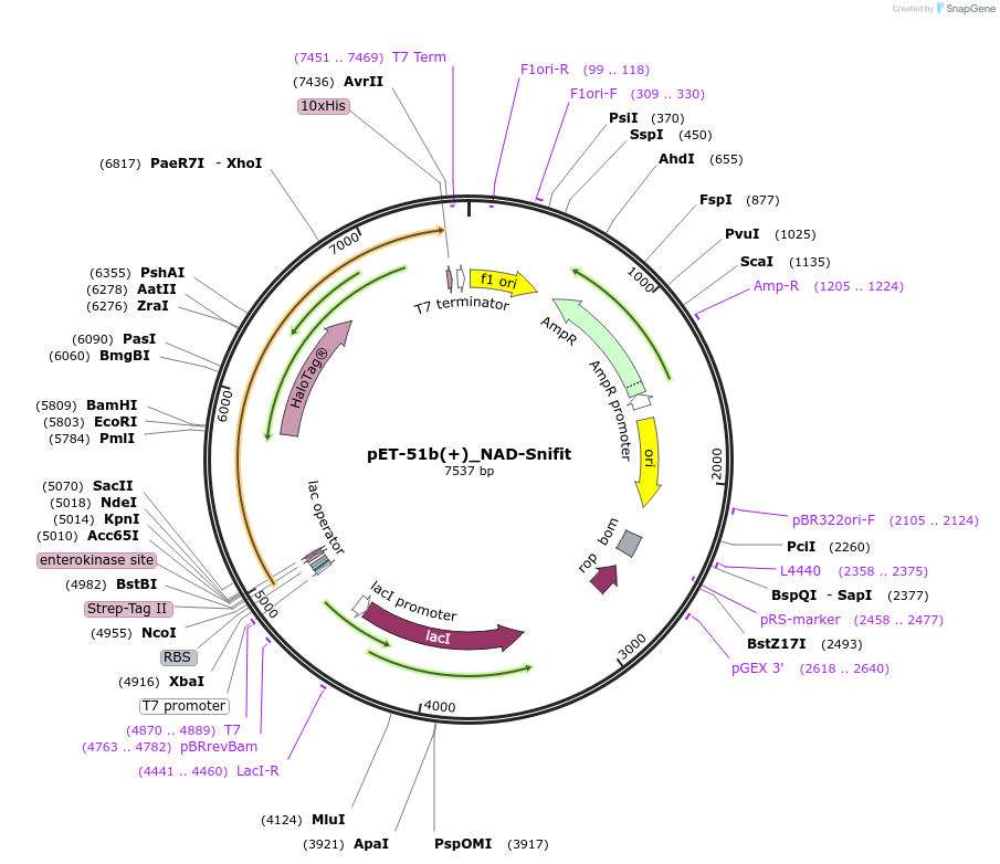 215092_map