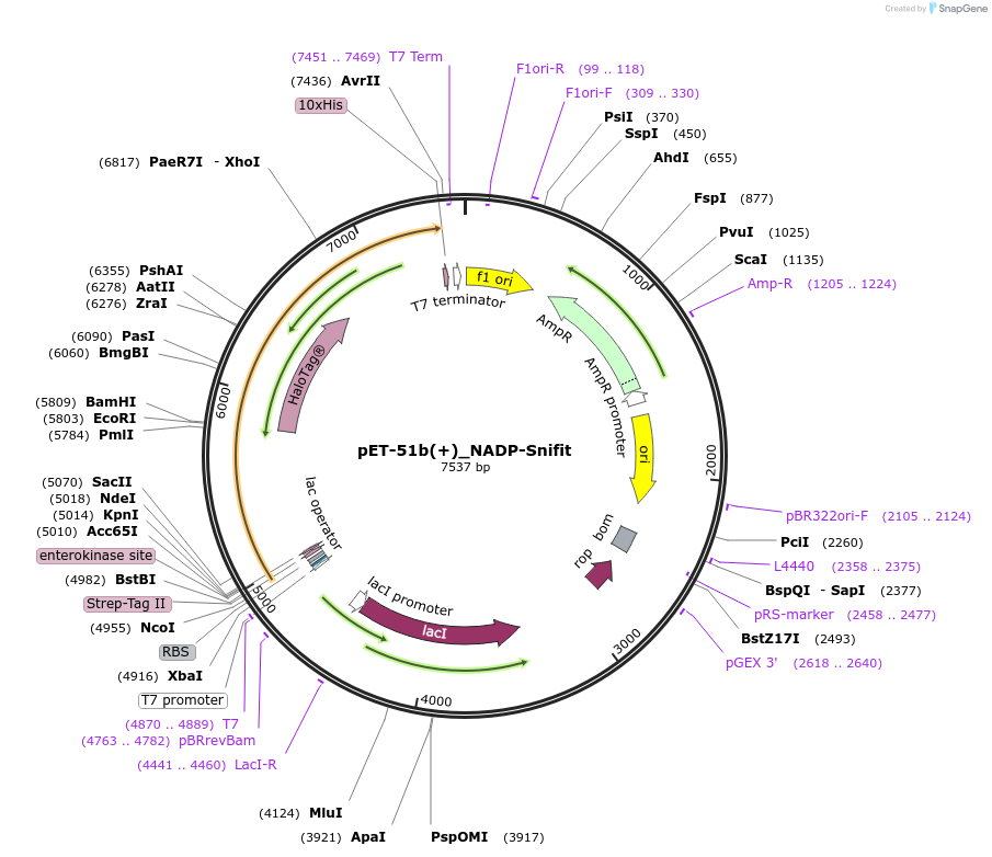 215093_map