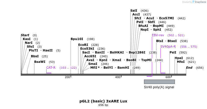 21511_map