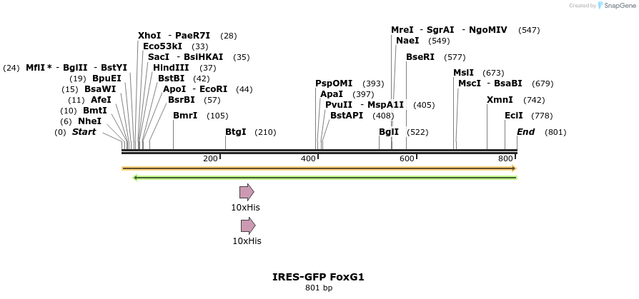 21512_map