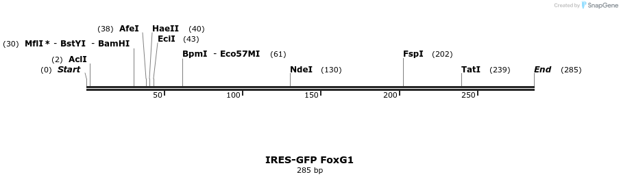 21513_map