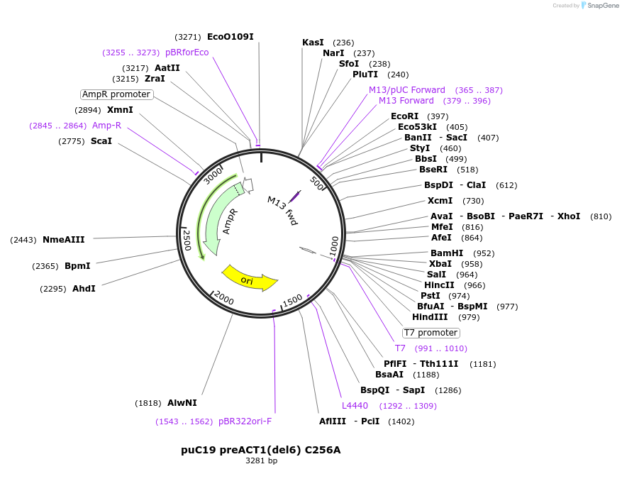 215146_map