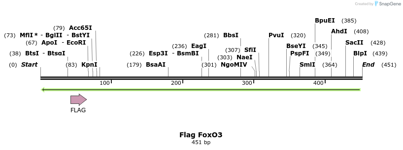 21515_map