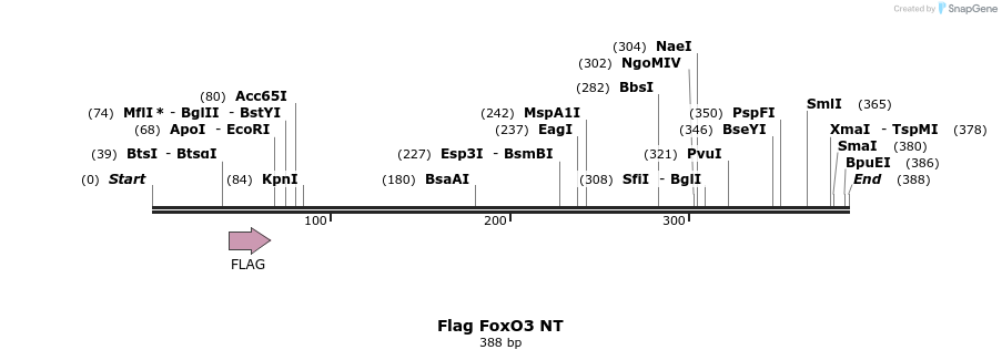 21516_map