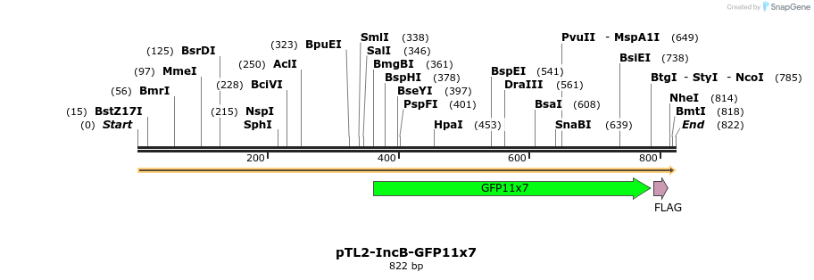 215172_map