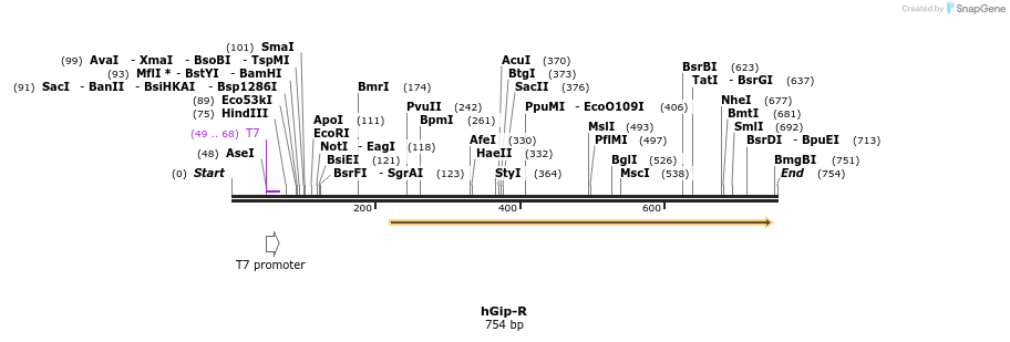 21522_map