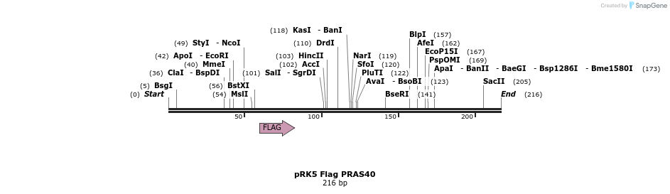 21527_map