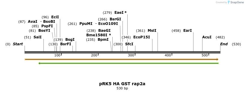 21529_map