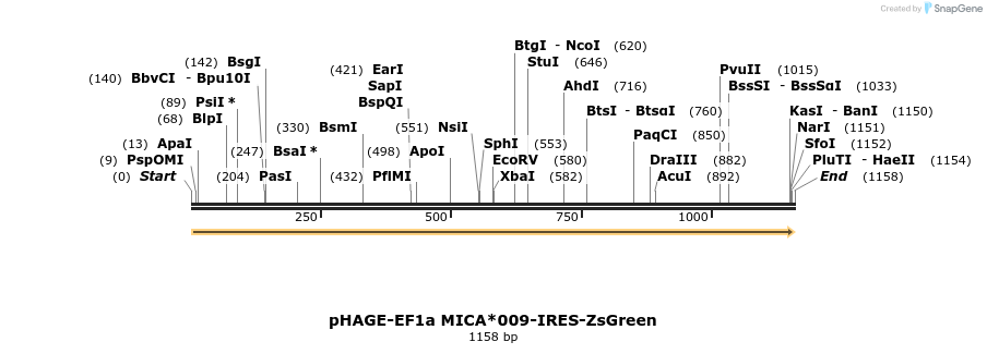 215296_map