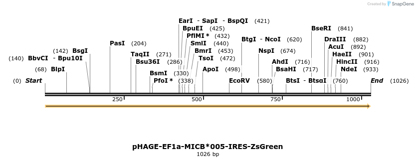 215301_map