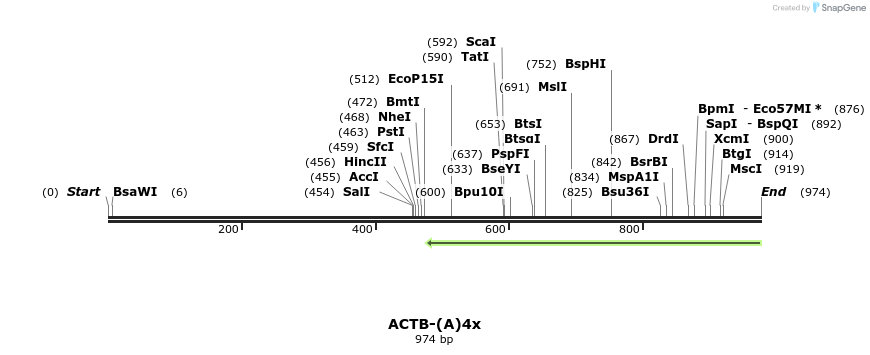 215313_map