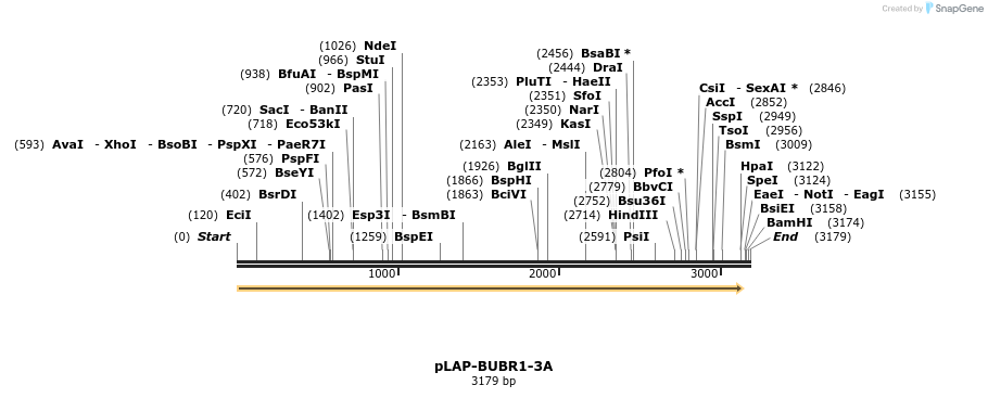 215346_map