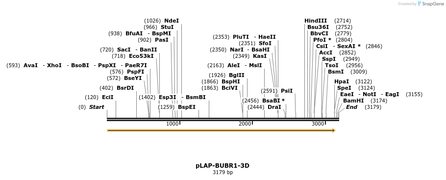 215347_map