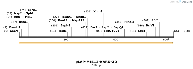 215351_map
