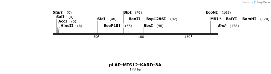 215354_map