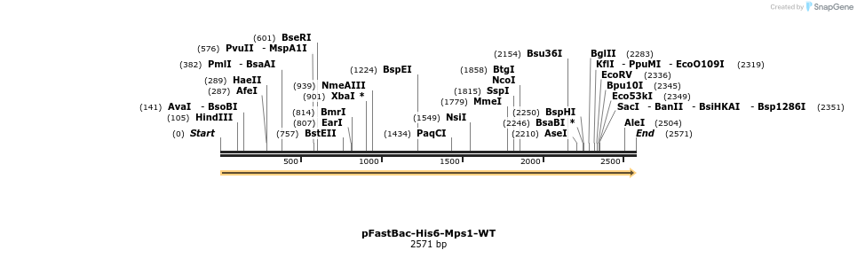 215358_map
