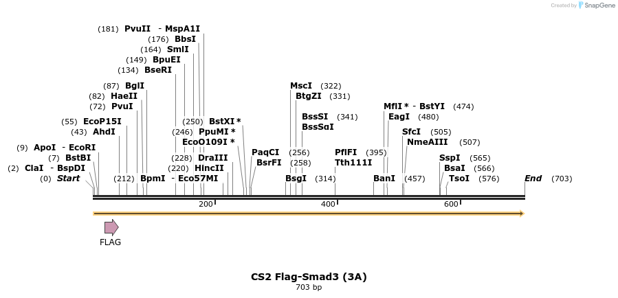 21539_map