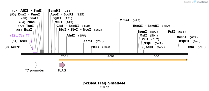 21540_map