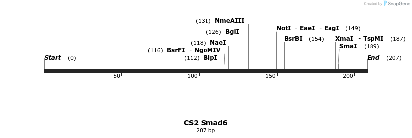 21541_map