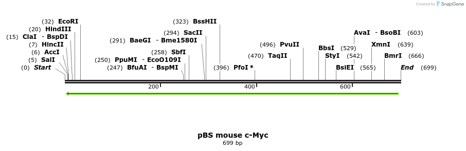 21548_map