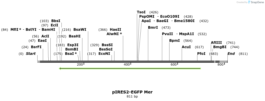 21553_map