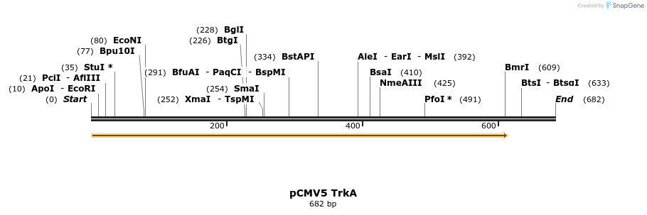 21554_map