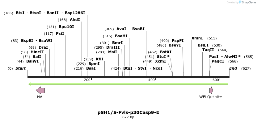 21556_map