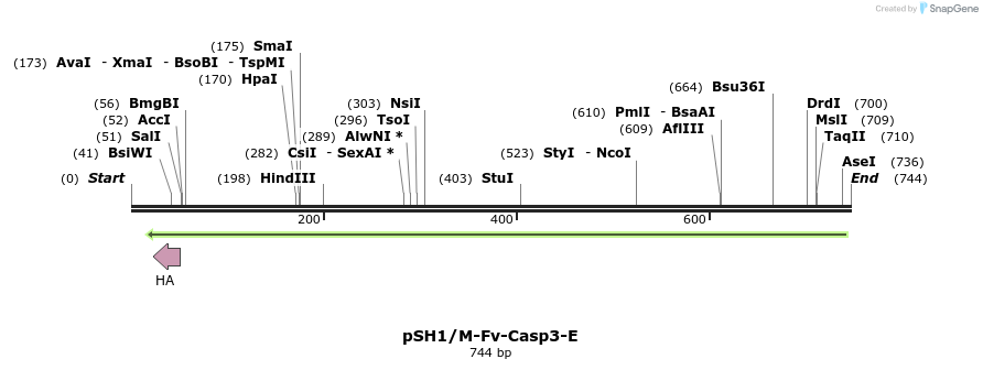 21557_map