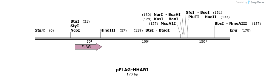 21564_map