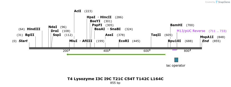 21565_map
