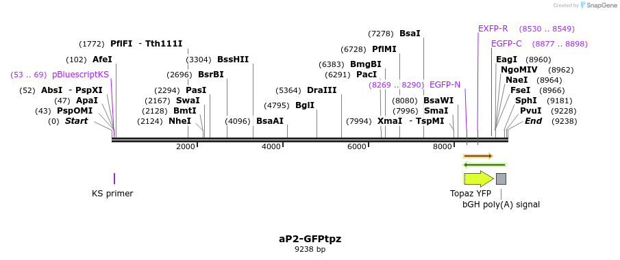 215684_map