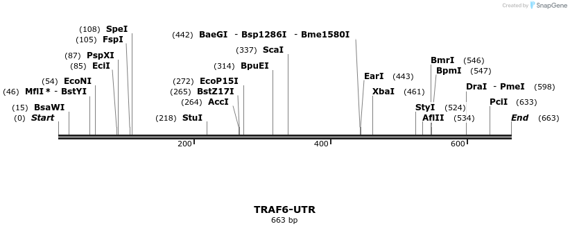 21569_map