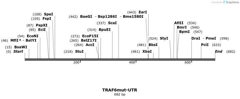 21571_map