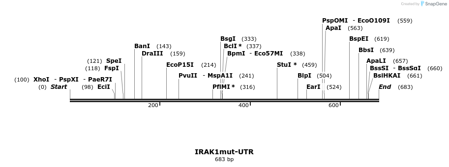 21573_map