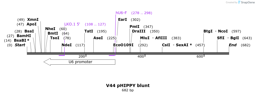 21575_map