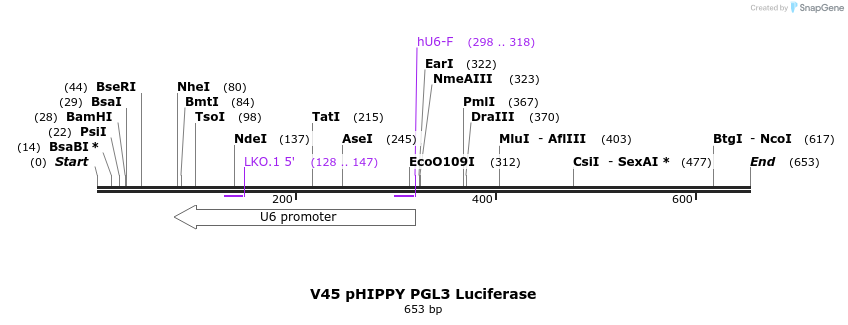 21576_map