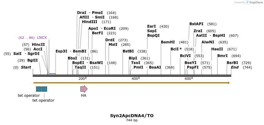 21581_map