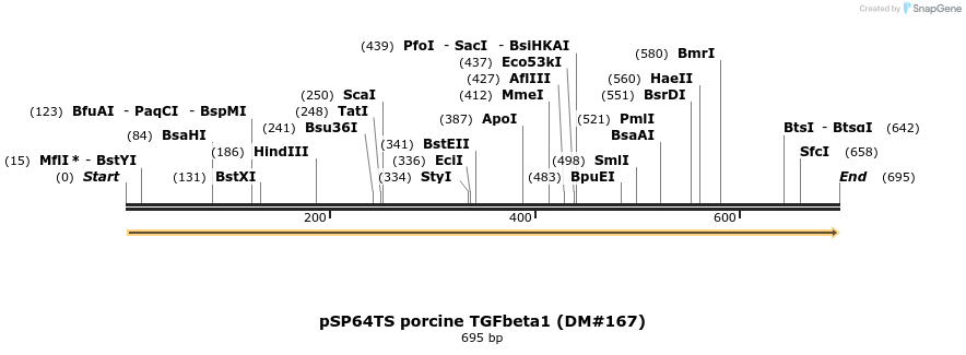 21585_map