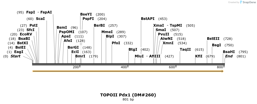 21590_map