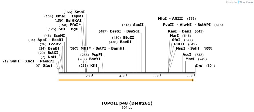 21591_map