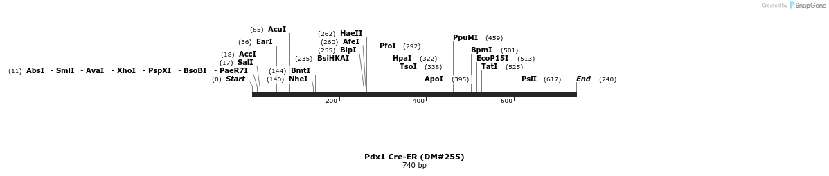 21596_map