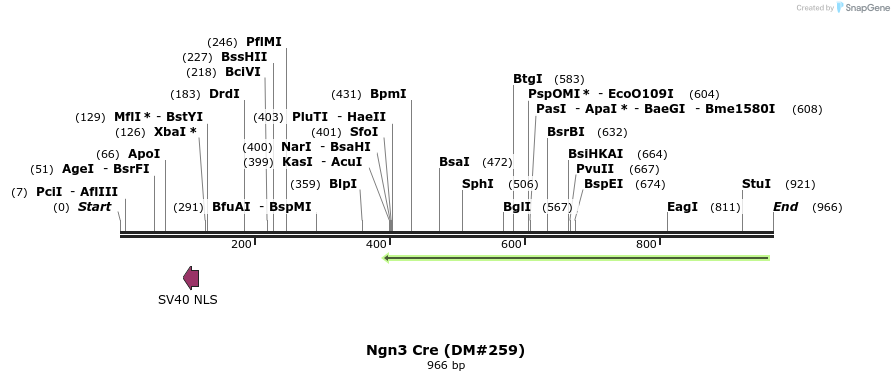 21598_map