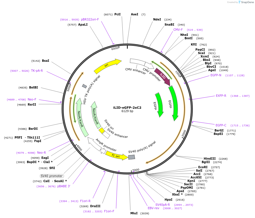 215990_map