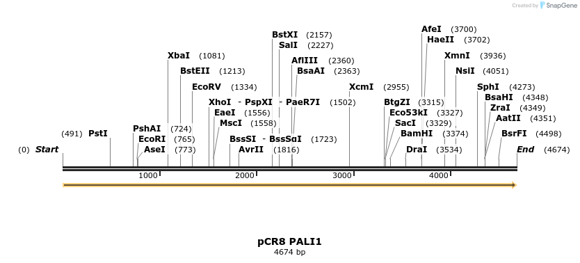 216011_map
