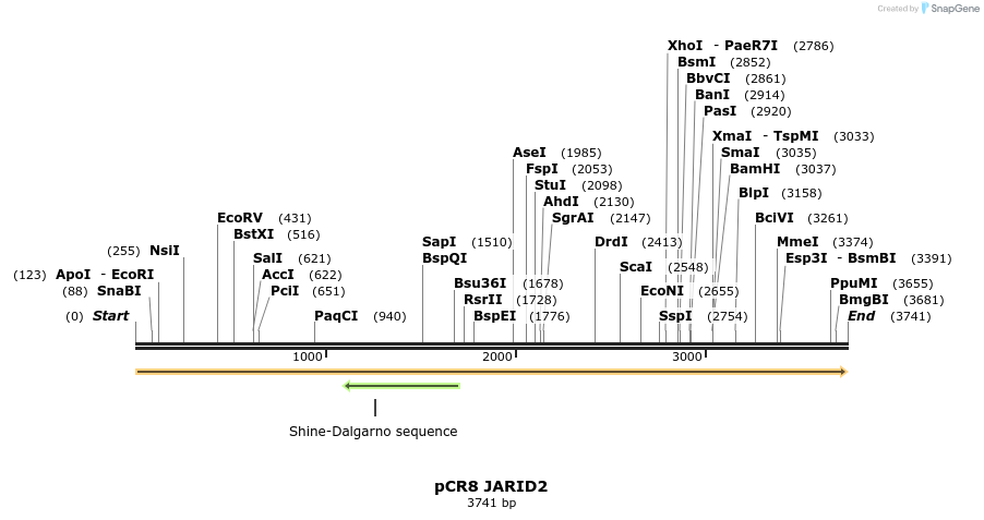 216012_map