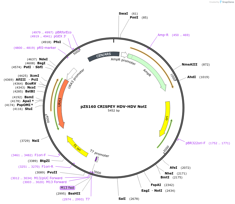 216022_map